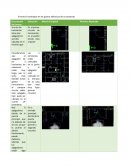 Errores Encontrados en los planos eléctricos de un proyecto