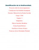 Identificación de la biodiversidad. Proyecto sobre los microorganismos