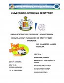 FORMULACION Y EVALUACION DE PROYECTOS DE INVERSION
