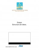 Ensayo Estructura de datos.
