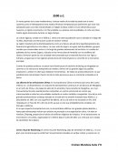 Orígenes de la civilización: Resumen