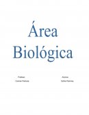 DE QUÉ SE ENCARGA EL LABORATORIO DE ÁREA BIOLOGICA