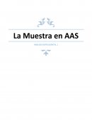 Muestra en espectroscopia de absorción atomica.