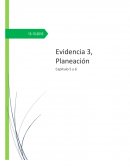 Planeacion The coca cola company