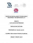 Ensayo “Los ojos de mi princesa”