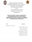 Deterioro de la vialidad por falta de mantenimiento de drenaje y conducta poblacional