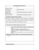 FORMATO DE DESCRIPCION DE PERFIL DE PUESTO PROGRAMADOR ANALISTA TIC´S