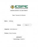 Propuesta de Fertilizantes