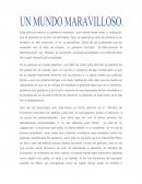 Social ensayo un mundo maravilloso.