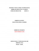 Los siete hábitos de las personas altamente efectivas son un conjunto de tácticas que nos enseñan a desenvolvernos en nuestro campo personal y laboral,