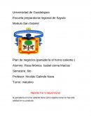 Plan de negocios (panadería el horno caliente )