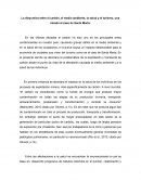 Daño del Carbón al Medio Ambiente en Colombia.