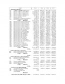ANALISIS DEL TIR Y VAN DE UN PROYECTO.