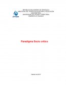 Paradigma Socio-Critico: Función Social