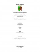 Síntesis de los videos. Historia del derecho comercial.