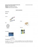 MATERIA: HEMATOLOGÍA FORENSE.