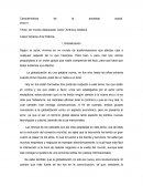 Características de la sociedad actual . Un mundo desbocado.