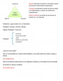 ¿Qué es inmunidad?