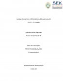 TRASTORNOS DEL SUEÑO: El Insomnio infantil