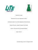 Tratamiento de agua. Determinación de dureza magnesiana y cálcica.