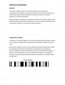 PRÁCTICA DE BIOLOGÍA Dendrocronología