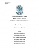 Planeación Proyecto Proyecto musical