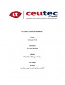 La cultura y la socializacion