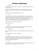 Hierbas medicinales prehispanicas