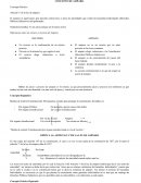 CONCEPTO DE AMPARO. Concepto Práctico.