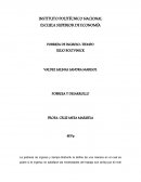 POBREZA DE INGRESO-TIEMPO