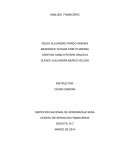 Analisis financiero. GOLD TOUR S A S