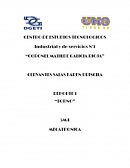 REPORTE 1 “TORNO”