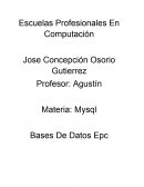 Consultas base de datos mysql