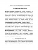 BOSQUEJO DEL PLAN ESPECÍFICO DE INVESTIGACION