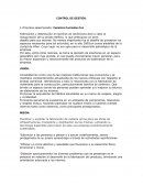 Control de Gestión. Cerámica Cunmalleu S.A