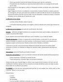 Filosofía. La diferencia con la ciencia