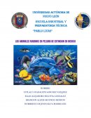 ANIMALES MARINOS EN PELIGRO DE EXTINCION EN MEXICO