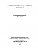 CARACTERIZACION DE ACTORES Y ANALISIS DE LA ESTRUCTURA DE LA RED LOGISTICA