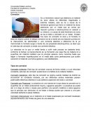 Investigacion (Libre de plagio)