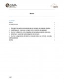 Cuál es la diferencia entre el análisis de mercado y el plan de mercadeo