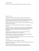 Cédulas de operación Se refieren a las funciones comunes establecidas de acuerdo con el giro de la empresa