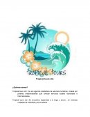 Funciones de la direccón. Tropical tours Ltd.