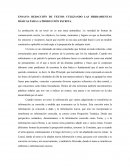 ENSAYO: REDACCIÓN DE TEXTOS UTILIZANDO LAS HERRAMIENTAS BÁSICAS PARA LA PRODUCCIÓN ESCRITA.