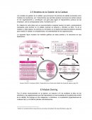 MODELOS DE LA GESTION DE CALIDAD
