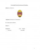 Informe: Los Monitores