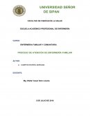 ENFERMERIA FAMILIAR Y COMUNITARIA