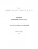 ENSAYO SOBRE ECLESIOLOGIA PAULINA EN LAS EPISTOLAS DE 1 Y 2 DE TIMOTEO Y TITO