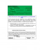 RÚBRICA PARA EVALUAR EL TRABAJO CORRESPONDIENTE A LA ACTIVIDAD DOS DEL CURSO