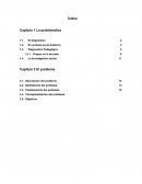 El Diagnostico ¿Qué es el diagnostico?