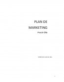 PLAN DE MARKETING Practi-Olla